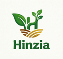 Hinzia Logo